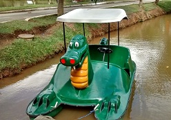 Pedalinho Cisne