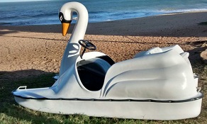Pedalinho