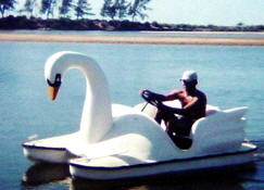 Pedalinho Cisne